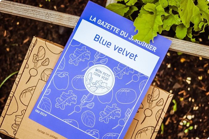 Blue Velvet Box