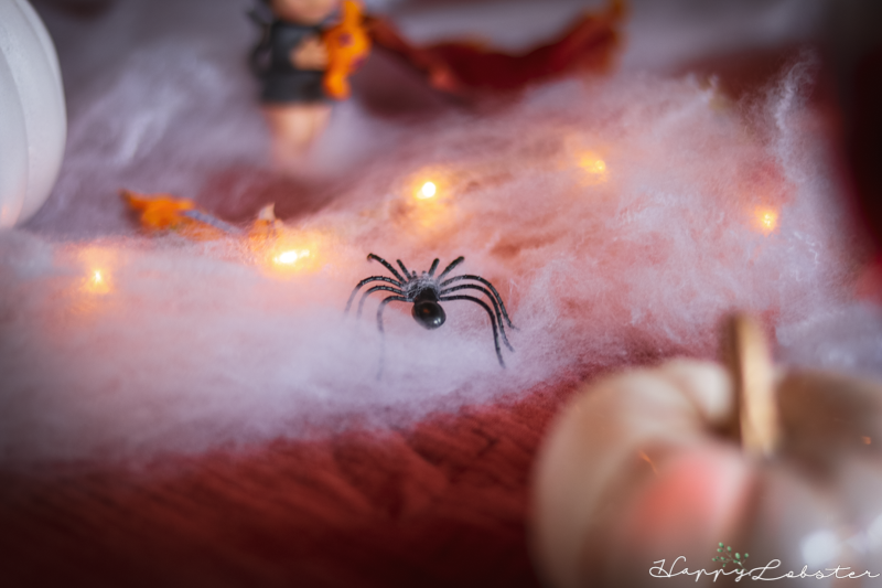 Araignée d'halloween
